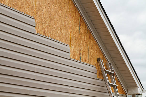 Professional Storm Damage Siding Repair technician working in Edinburg, VA